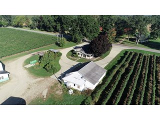 Home in Van Buren County, Michigan - LAND AUCTION - 300+/- ACRES SPECIALTY CROP - GRAPES AND HOPS - OFFERED IN 8 TRACTS IN VAN BUREN COUNTY, MICHIGAN